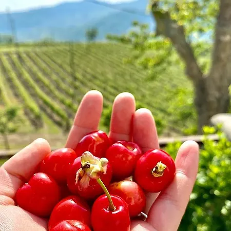 Farm stay Pian Del Duca