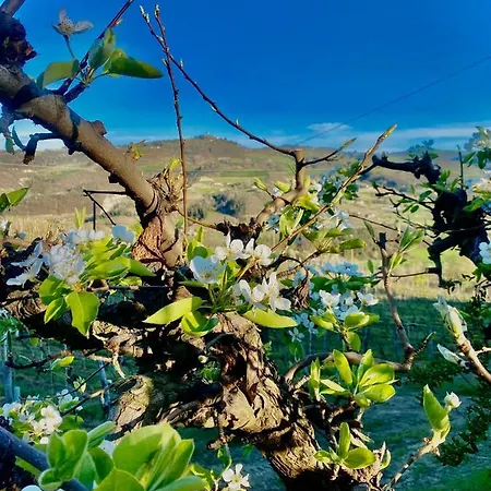 Bauernhof Pian Del Duca Vesime