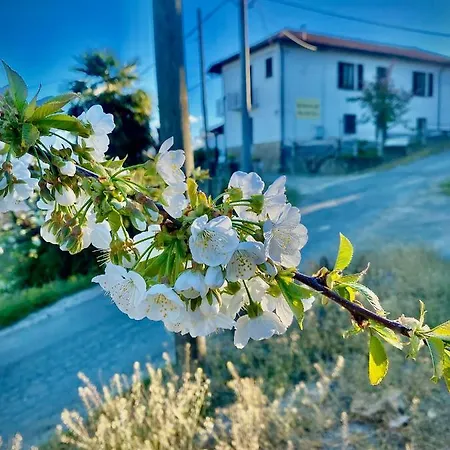 Pian Del Duca * Vesime