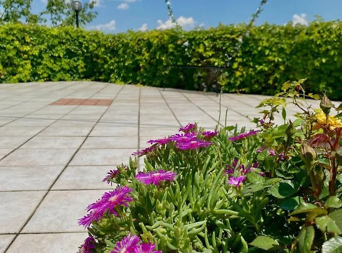 Pian Del Duca * Vesime